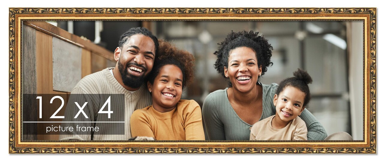 12x4 Solid Wood Antique Picture Frame with UV-Resistant Acrylic & Acid-Free Backing, Available in 4 Finishes: Bronze, Gold, Silver, and Gold with Black